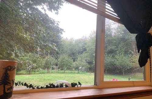 Camano Island House | Peaceful Private Forest Trails and Zen Gardens Weddings Events Healing Sanctuary