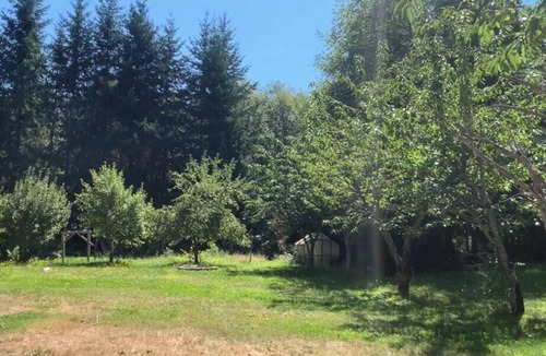 Camano Island House | Peaceful Private Forest Trails and Zen Gardens Weddings Events Healing Sanctuary