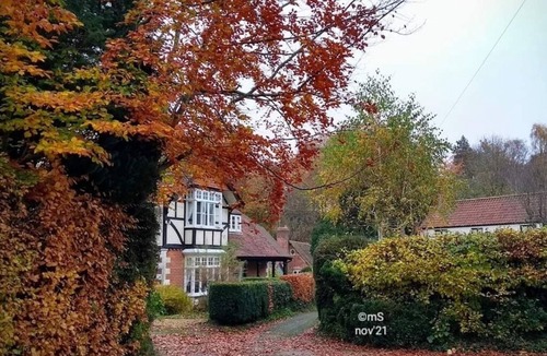 Westbury Apartment | Peaceful separate annexe with bed, kitchen, shower room and patio area.