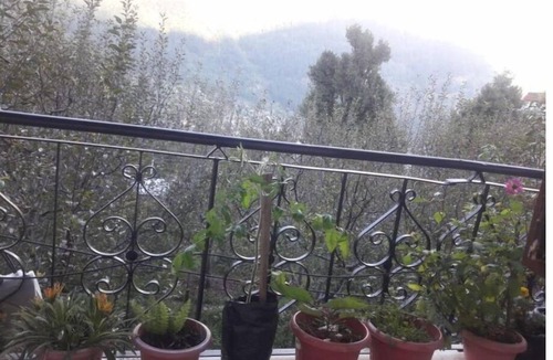 Manali Apartment | Peaceful & Tiny Studio Apartment @Manali w/Wi-Fi + Kitchen, Centrally Located.