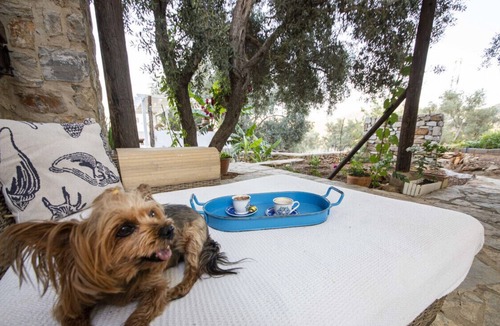 Bodrum Villa | Peaceful Villa with Pool and Garden in Bodrum