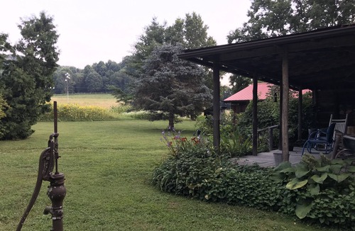 Unicoi Cabin | Peacocks, blacksmithing, buffalo, wildlife, a studio cabin by the pond.