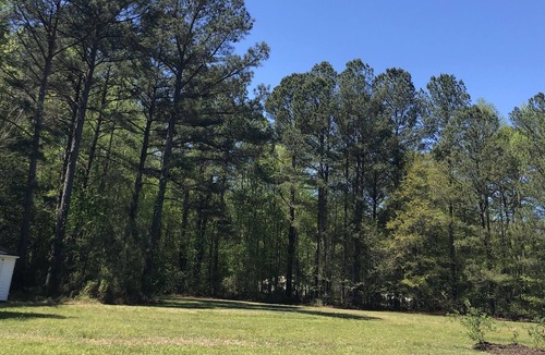 Johnston County Apartment | Pearly Paradise