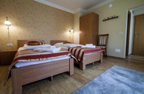 Timisoara House | Pension Andronic