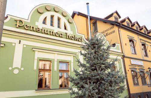 Dumbraveni Hotel | Pension Kokel