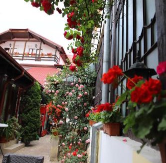 Campulung House | Pension Kokett