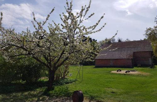 Wunsdorf House | Pension New Nomads