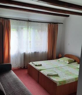 Costesti House | Pension Nicoleta
