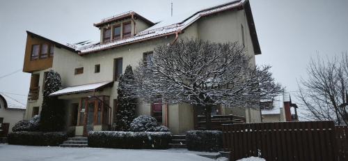 Odorheiu Secuiesc House | Pension Panorama