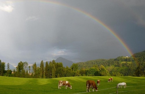 Going am Wilden Kaiser House | Pension Sunnbichl