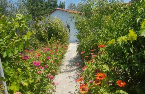 Kolymbia Apartment | Pension Zoi
