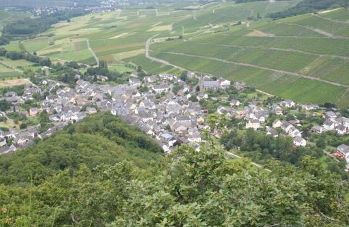 Veldenz House | Pension zur Mühle