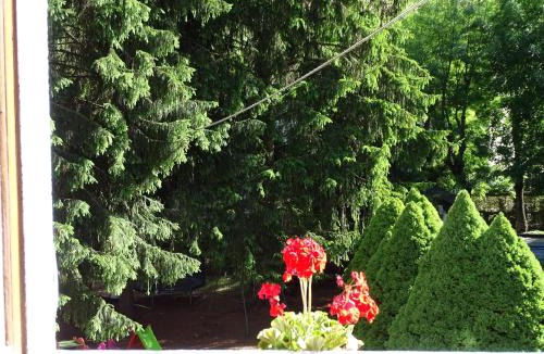 Bardonecchia Bed & Breakfast | Pensione Bianca