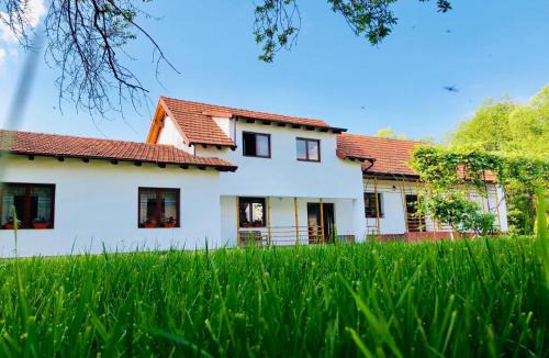 Recea House | Pensiunea Aer de Munte