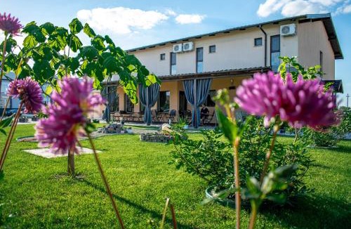 Vladimirescu House | Pensiunea Almada