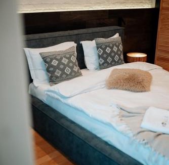 Avrig Bed & Breakfast | Pensiunea Amonte