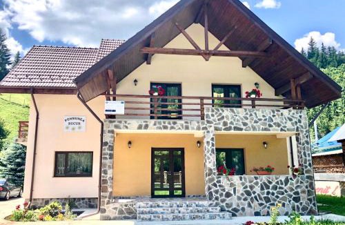 Damuc House | Pensiunea Bucur