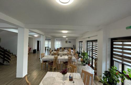 Tulcea County House | PENSIUNEA CAMELIA