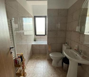 Tulcea County House | PENSIUNEA CAMELIA
