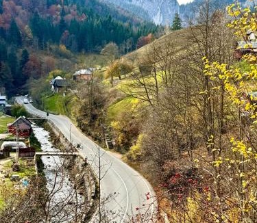 Bicaz-Chei House | Pensiunea Cheile Șugăului