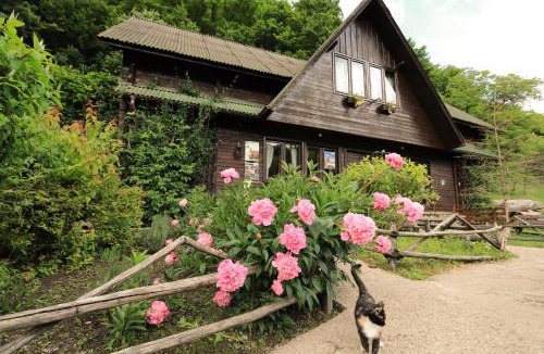 Bosorod House | Pensiunea Dacica