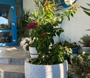 Maliuc House | Pensiunea Delta Blue