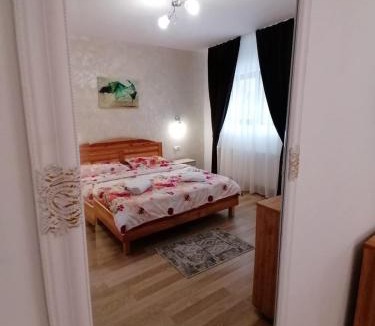 Bistrita Bargaului House | Pensiunea Diana