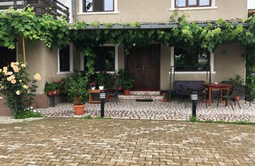 Gothatea House | Pensiunea Elis