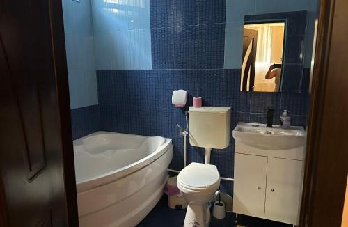 Craiova House | Pensiunea exotic