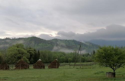 Bistrita Bargaului House | Pensiunea Freya