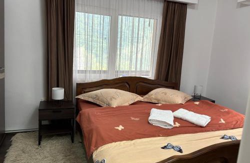 Sant House | Pensiunea Grapini