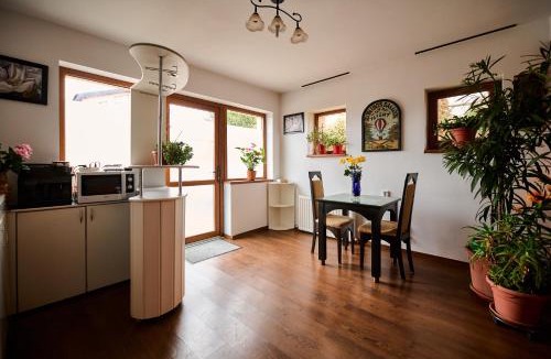 Tirgu Mures House | Pensiunea Kenza