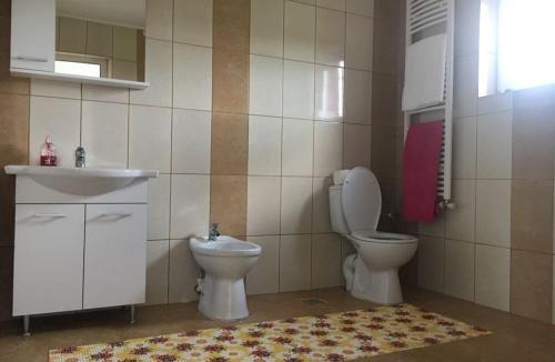 Vaslui House | Pensiunea lui George
