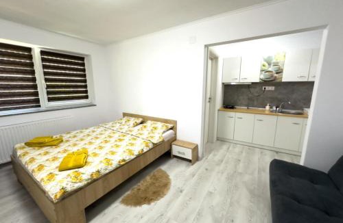 Sovata Bed & Breakfast | Pensiunea NikoBella Panzió