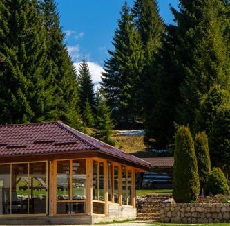 Moeciu de Sus House | Pensiunea Poienita Ursului