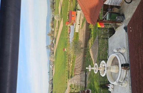 Sarmas House | Pensiunea Vilcan
