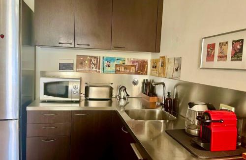 Lungarno del Tempio Apartment | Penthouse Arno river