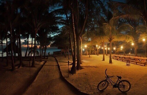 Thatch Caye Apartment | Penthouse Oceanfront Cabana