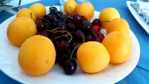Parghelia Bed & Breakfast | Pepe'Accommodation