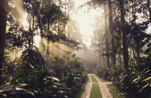 Sulthan Bathery Resort | Pepper Trail