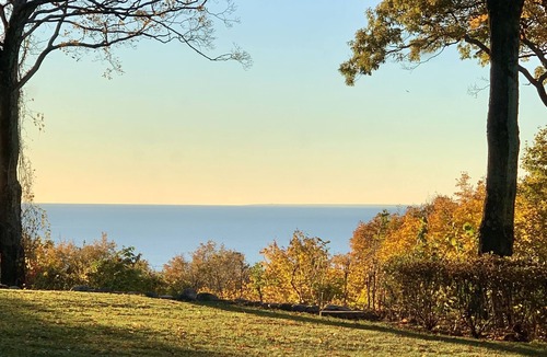 Harbor Springs House | Perch Cabin at Blisswood Resort