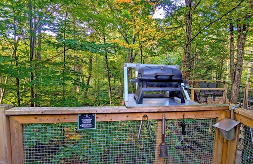 Saint-Faustin-Lac-Carre House | Perched treehouse built around a tree, bridge and deck | Lodging #12