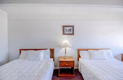 Osborne Hotel | Perfect Budget 2-Room Stay for Pet Owners – Friendly & Comfortable