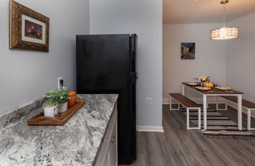 Downtown Rochester Apartment | Perfect for long term stays-vibrant area-3 Bedroom