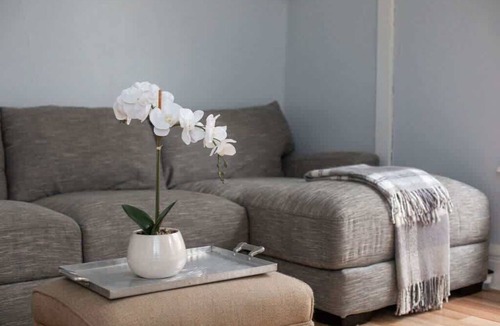 Downtown Rochester Apartment | Perfect for long term stays-vibrant area-3 Bedroom