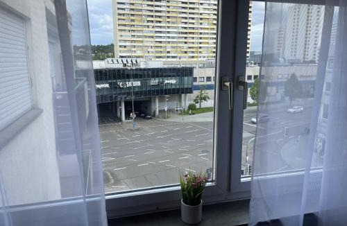 Leonberg Apartment | Perfekte 1,5 Wohnung Zentral in Leonberg gegenüber Einkaufzentrum
