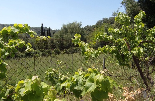 Peroulion House | Perithia Cottage