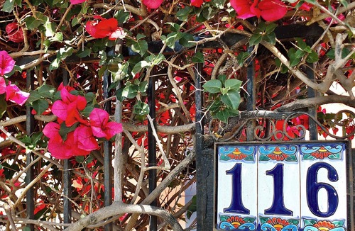 Belmont Shore House | Pet-Friendly, 1 Block to Beach, World Cup, Sleep 7