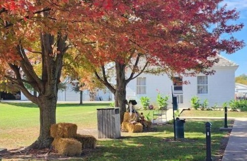 Hamilton Apartment | Pet-Friendly 1BR Suite, Walk to Quilt Co, Travel Nurse Ready, Wi-Fi + Kitchen