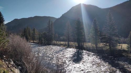 Bellvue House | Pet Friendly Fishing Cabin close to Poudre River, Perfect for a Weekend Escape from Fort Collins